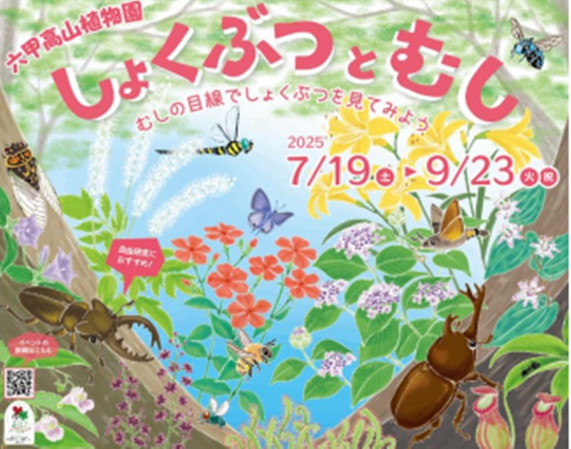 2025年 六甲高山植物園 「しょくぶつとむし」開催