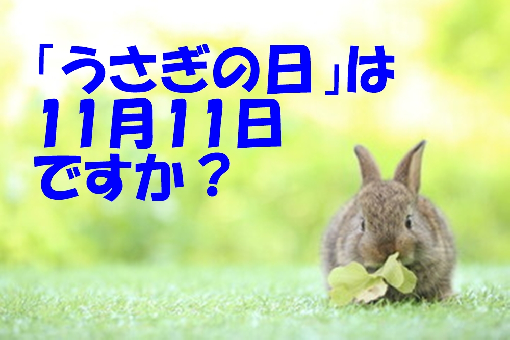 2025年 うさぎの日はいつ?『11月11日』『3月3日』『8月2日』どれですか?