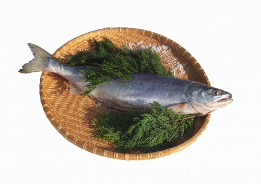 新巻鮭とは?美味しい食べ方と簡単レシピを紹介