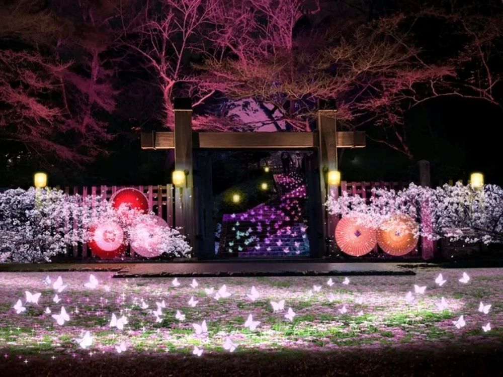 ぎふ灯り物語 2026(岐阜県岐阜市)