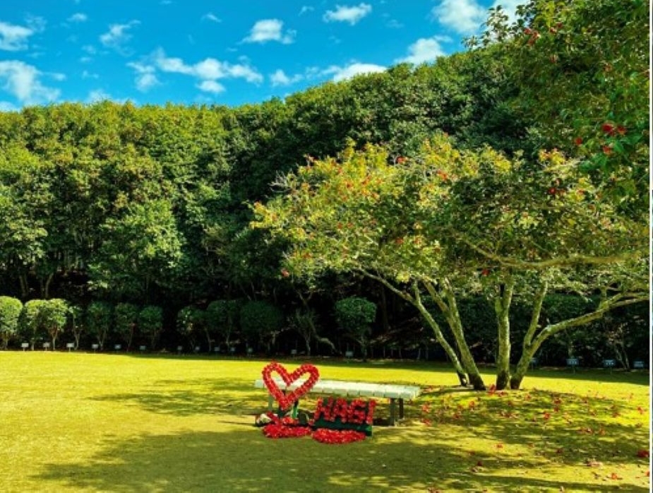 2026年 萩・椿まつり（山口県萩市）