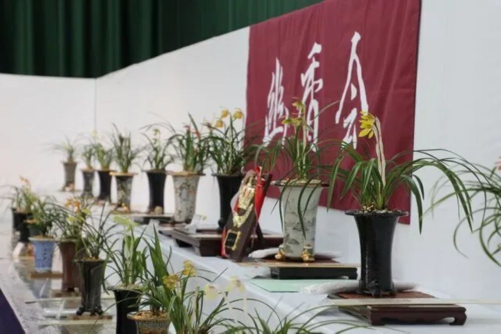 春蘭展 2026（兵庫県加西市）