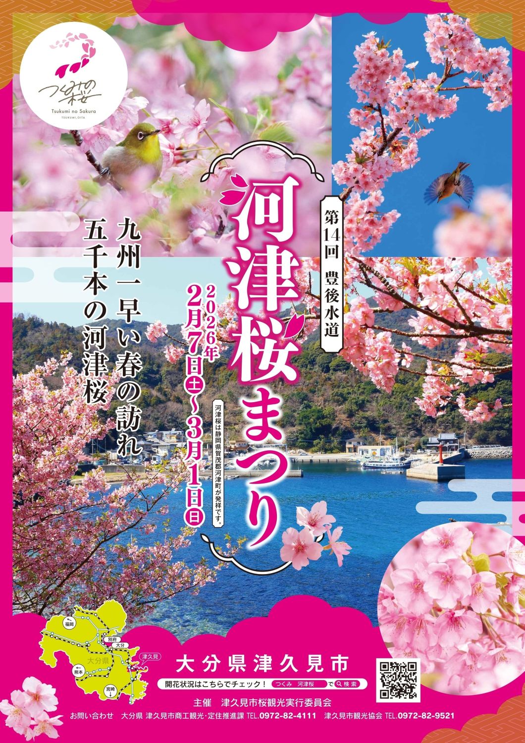 第14回豊後水道河津桜まつり（大分県津久見市）