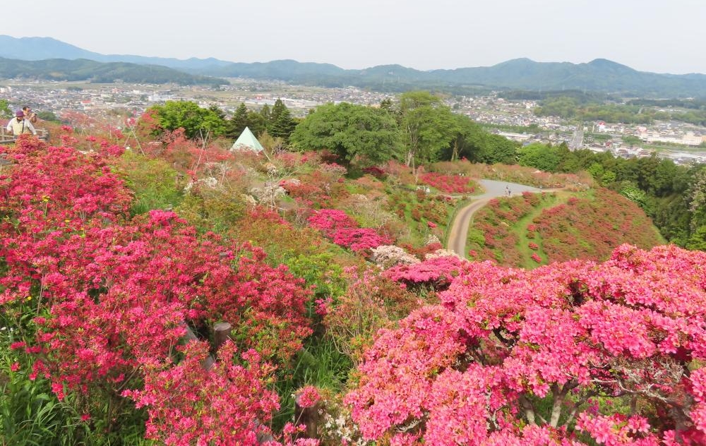 第55回笠間つつじまつり 2026（茨城県笠間市）