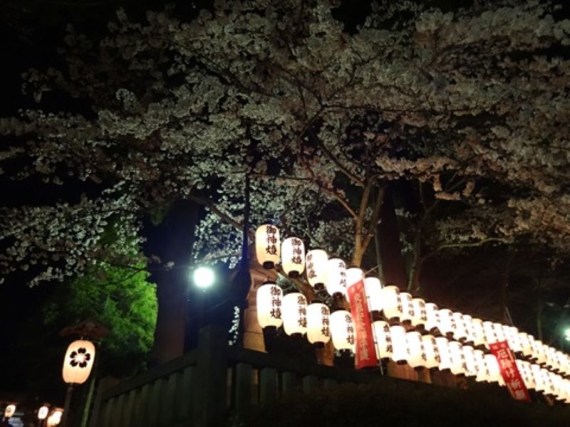 2026年 大聖寺 桜まつり（石川県加賀市）