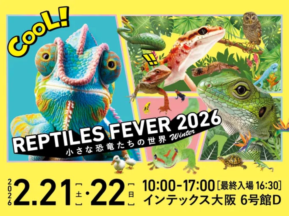 レプタイルズフィーバー2026 Winter～小さな恐竜たちの世界～（大阪市住之江区）